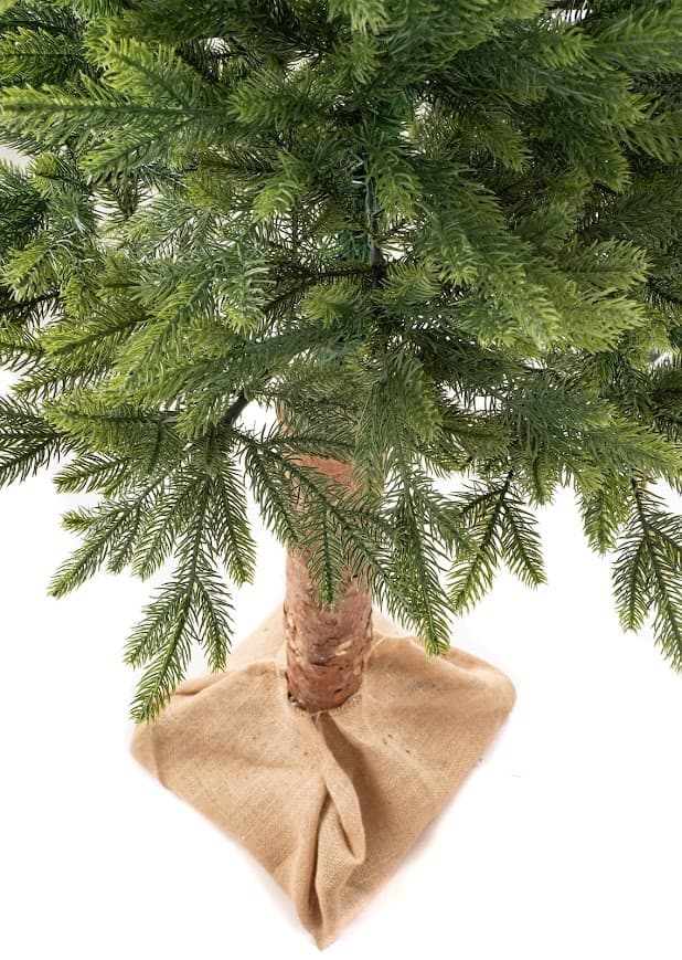 Świerk Naturalny Premium na Pniu CHAP01