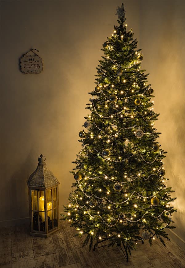 Świerk Naturalny Premium CHA01