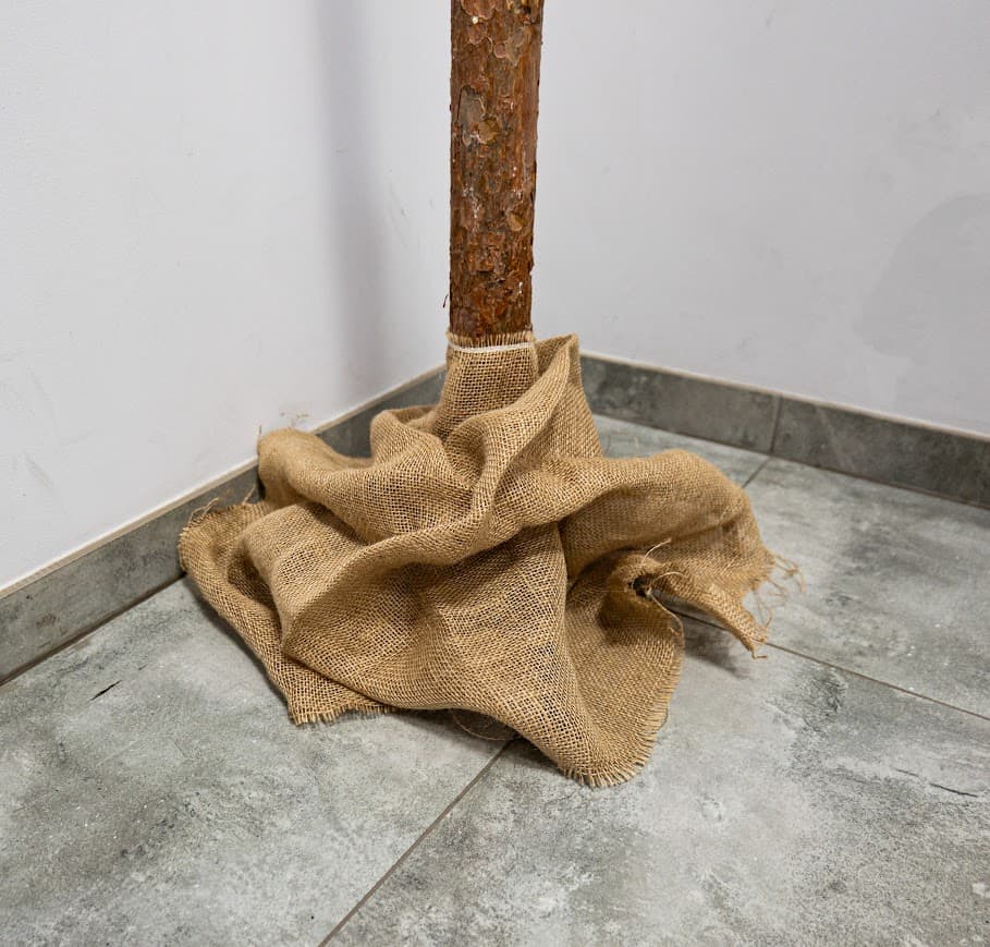 Choinka Premium na Pniu Ośnieżona CHAP02