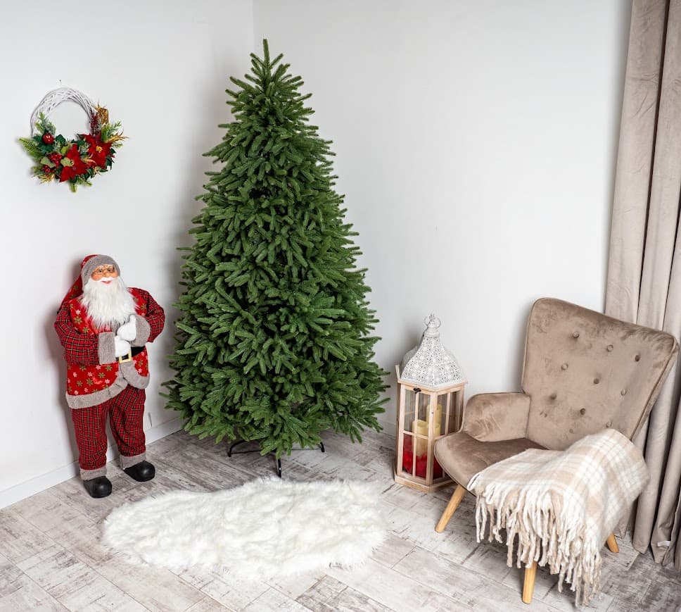 Świerk Królewski Classic CHA08