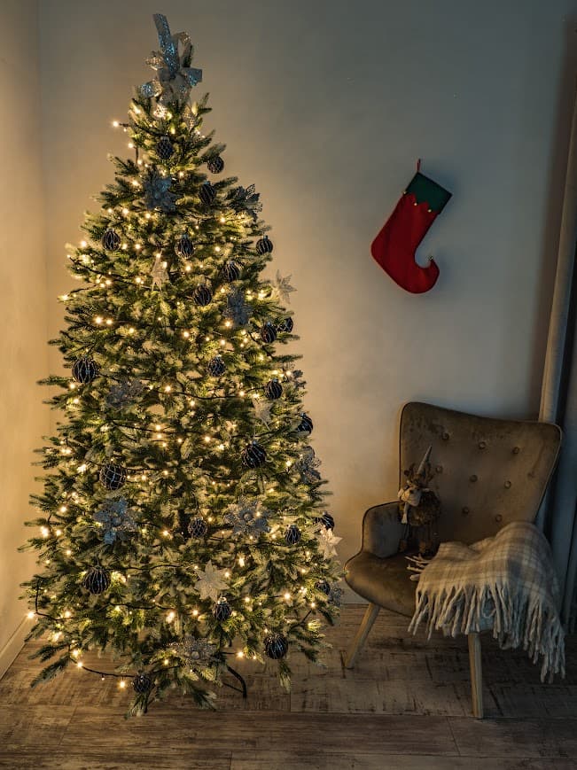 Świerk Królewski Fros CHA07