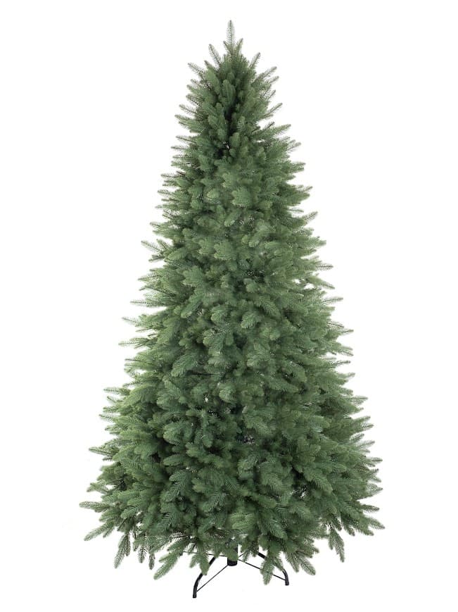 Świerk Królewski Imperial CHA11