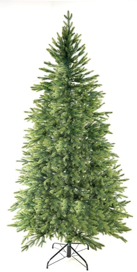 Świerk Królewski Aurora – jasnozielone końcówki CHA10