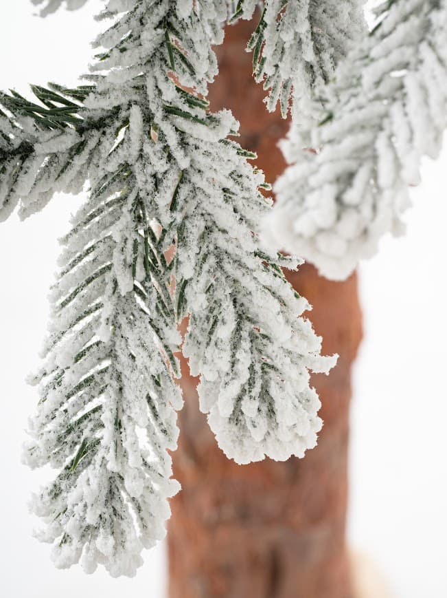 Choinka Premium na Pniu Ośnieżona CHAP02