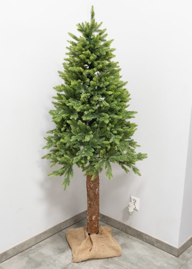 Świerk Naturalny Premium na Pniu CHAP01