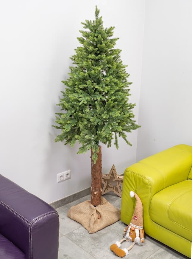 Świerk Naturalny Premium na Pniu CHAP01