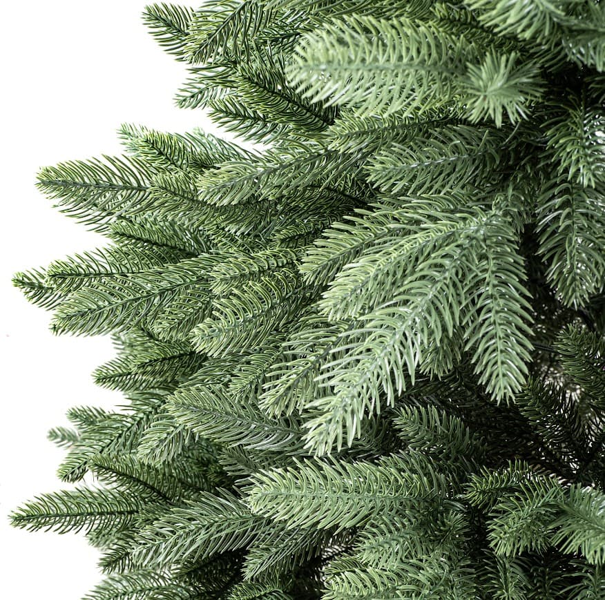 Świerk Królewski Imperial CHA11