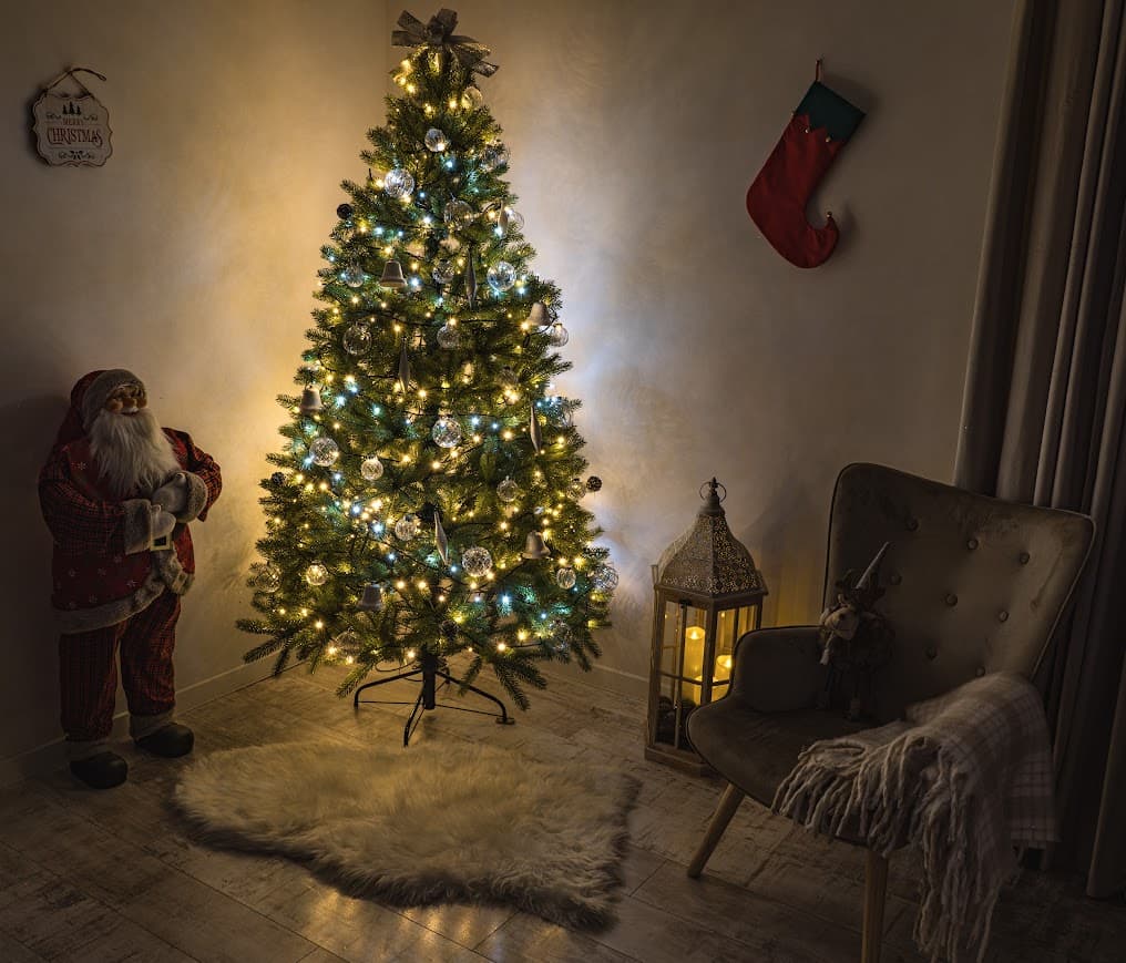 Świerk Królewski Verde CHA09