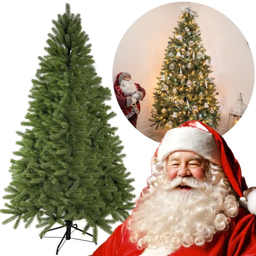 Świerk Królewski Verde CHA09