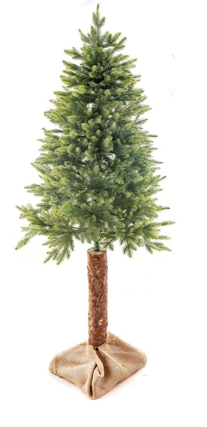 Świerk Naturalny Premium na Pniu CHAP01