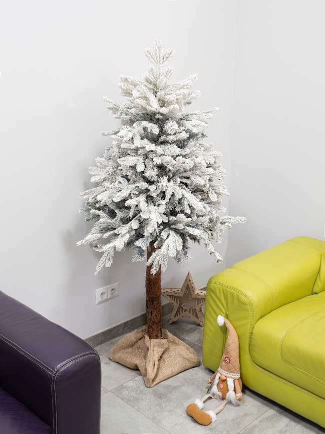 Choinka Premium na Pniu Ośnieżona CHAP02
